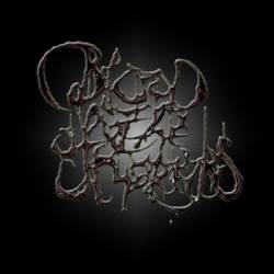 Blood Of The Martyrs : Demo Blood Of The Martyrs : Demo